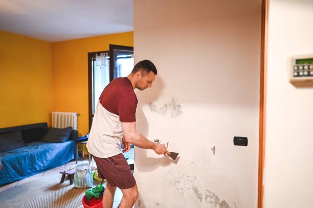 Best Basement Mold Remediation in Pleasant Valley, WV
